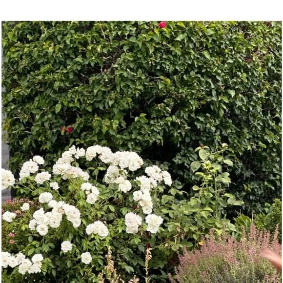 Special listing - Picture 1 of 1